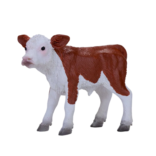 Mojo - Hereford kalv
