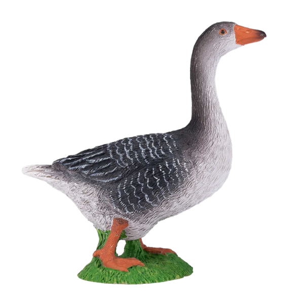 Mojo - Grågås