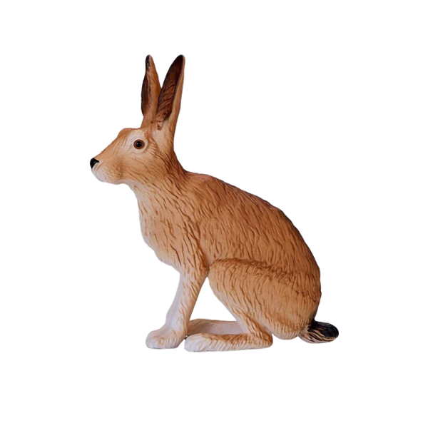 Mojo - Hare, siddende