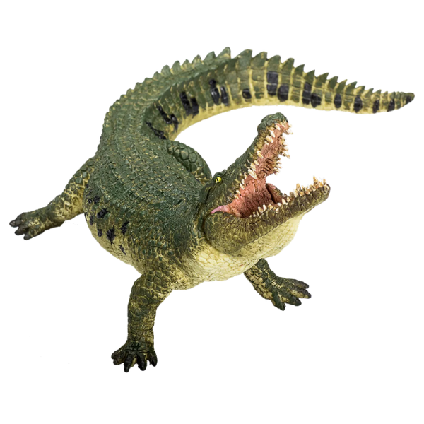 Mojo - Krokodille