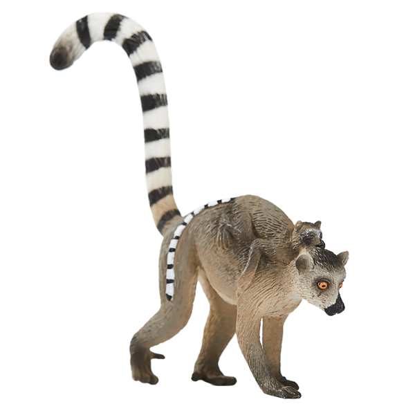 Mojo - Lemur med unge