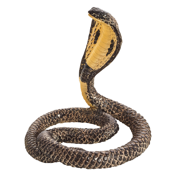 Mojo - King Cobra
