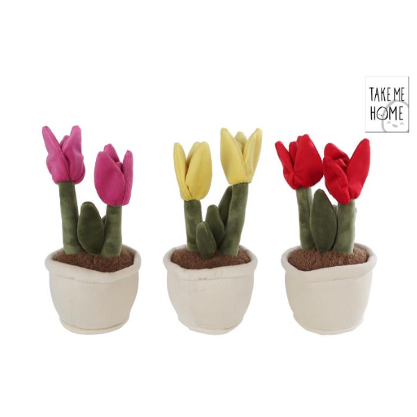 Take me home - Tulipan