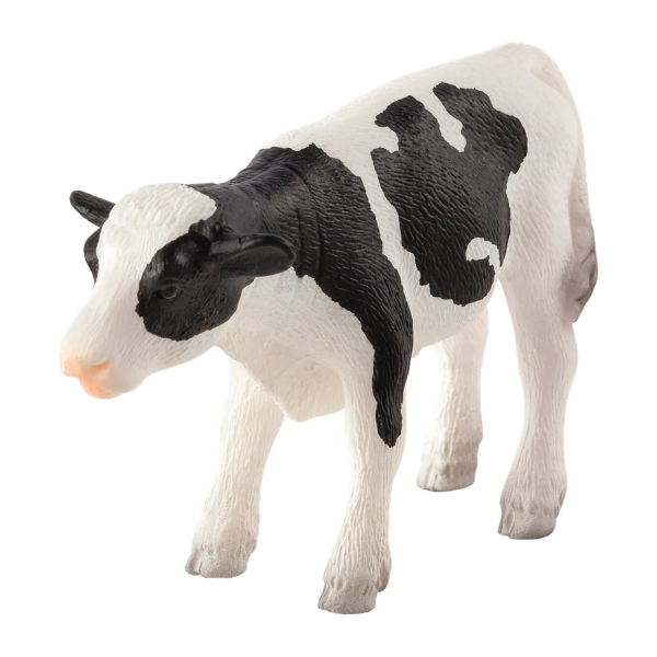 Mojo - Holstein Kalv, stående