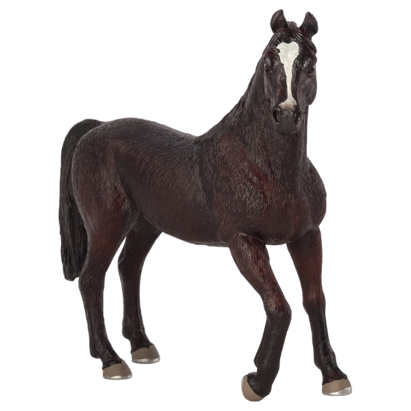 Mojo - Arabisk Hingst, Sort