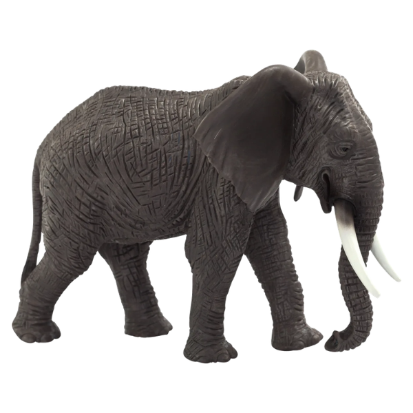 Mojo - Afrikansk elefant