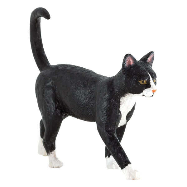 Mojo - Kat