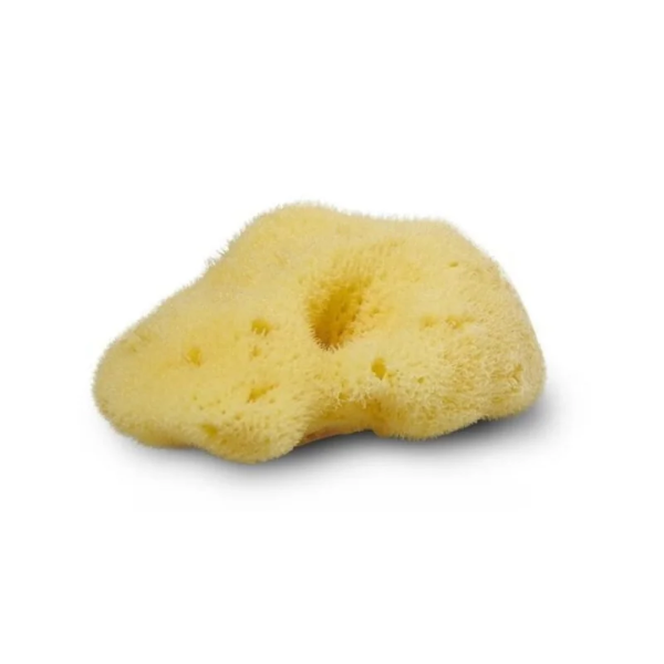9062