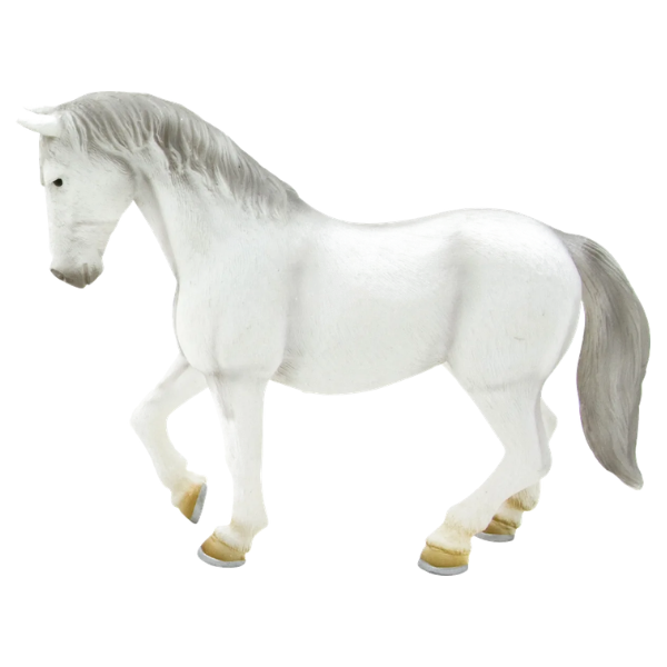 Mojo - Lipizzaner Mare Hest