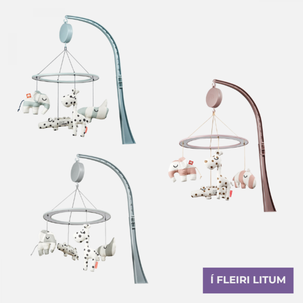 Órógv við tónleiki og spegli