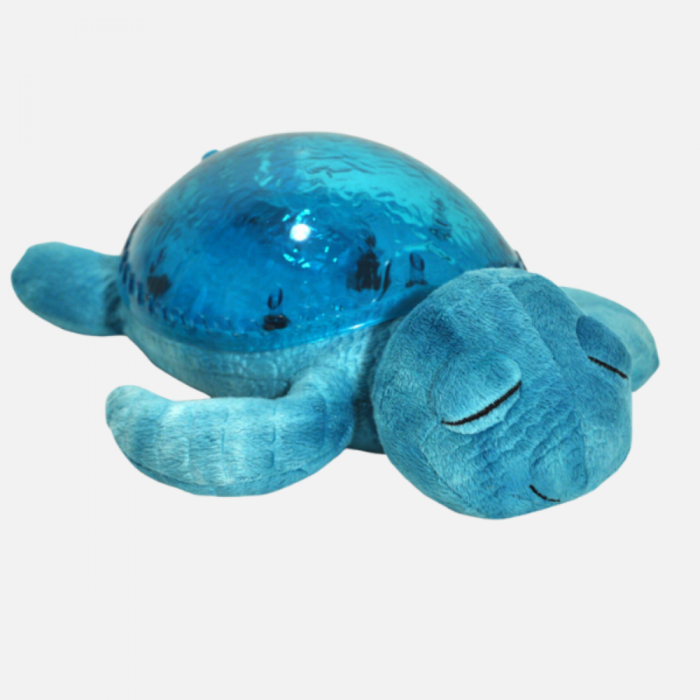 Tranquil Turtle, Aqua
