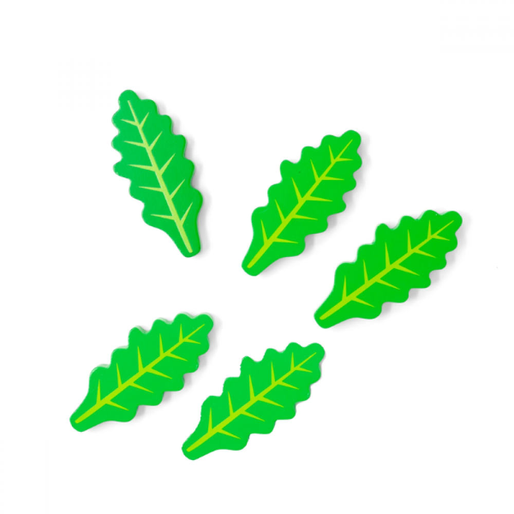 Rucola salat - 5 bløð