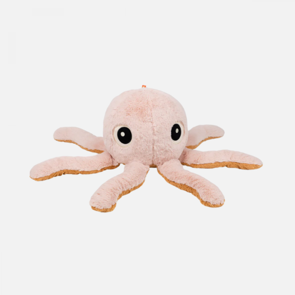 Bamsa - Jelly powder