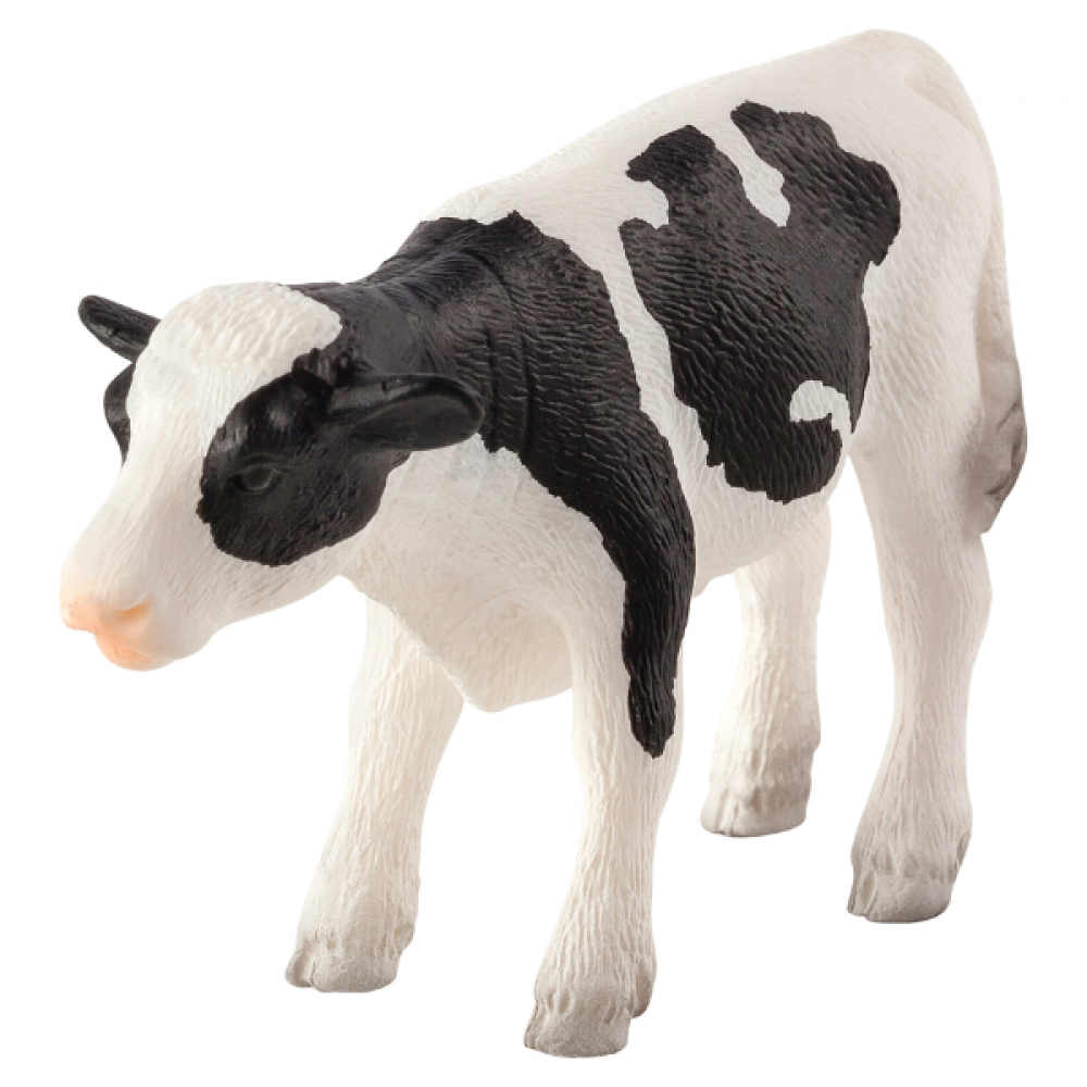 Mojo -  Holstein Kalv, stående