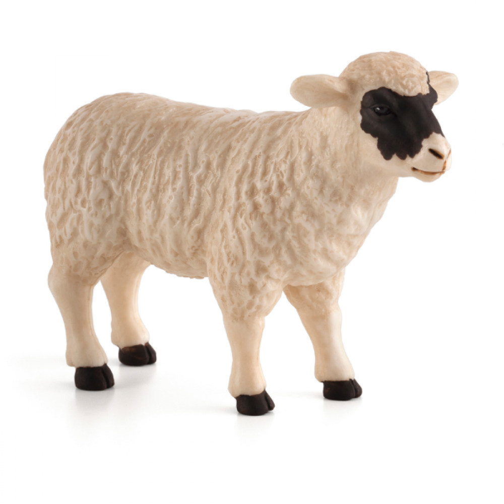 Mojo - Moder Får med sort hovedet