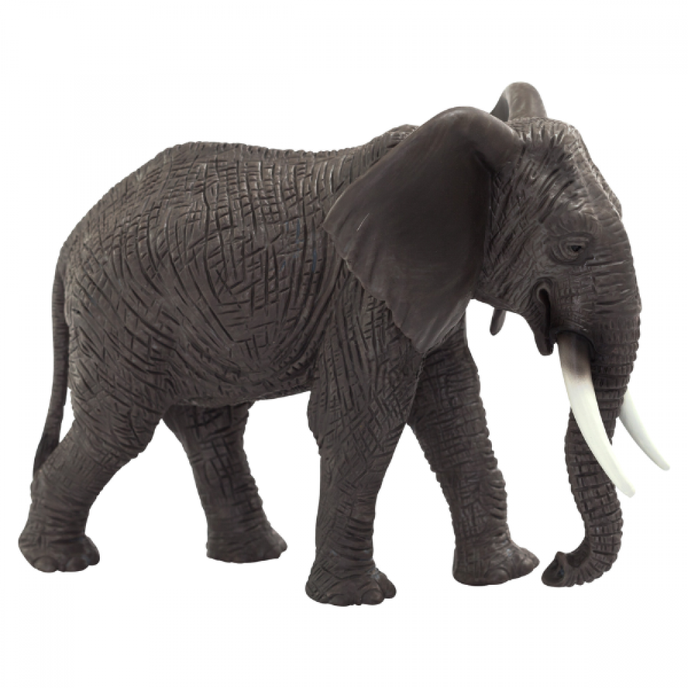 Mojo - Afrikansk elefant