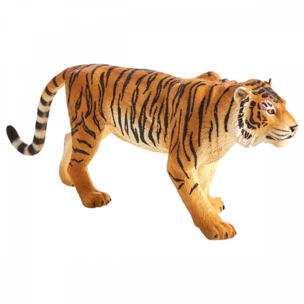 Mojo - Bengalsk Tiger