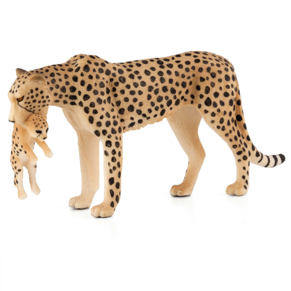 Mojo - Gepard med unge