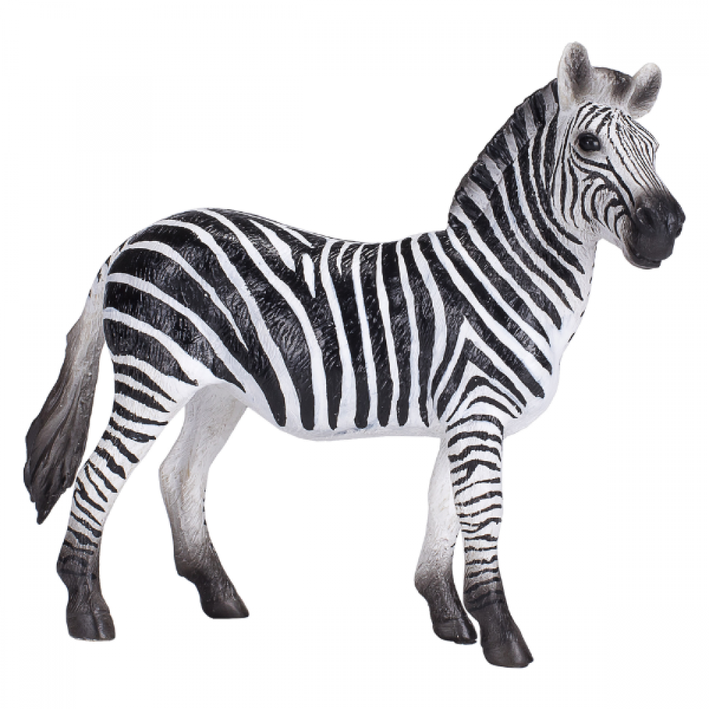 Mojo - Zebra Mare