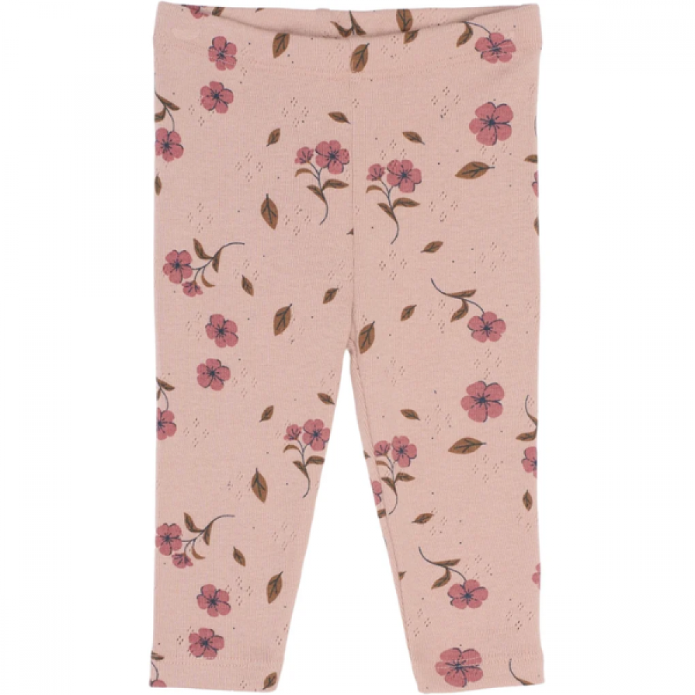 TNSB Picole pointelle leggings